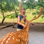 Daniel Laiton Kletterpartner aus Eppelheim
