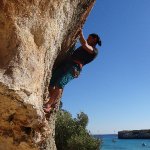 Falke Kletterpartner aus Rottweil