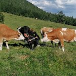 Steffen Kletterpartner aus Doberschütz